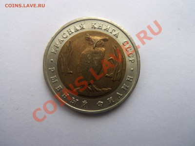 КК Рыбный филин 1991 год. 18-02-2014 в 22-00 мск - 031.JPG