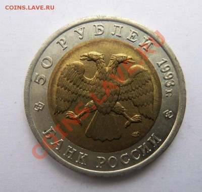 КК Туркменский зублефар 1993 г. 18-02-2014 в 22-00 мск. - 039.JPG