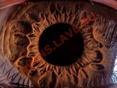 делает - прямо сейчас !!! - Безымянный