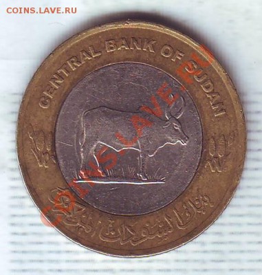 Судан.20 Пиастров.2006.Бык.БМ. до 26.02 - 20060009.JPG