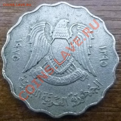 Монета с араб.вязью, изображением орла, похожа на ромашку - P1000833.JPG