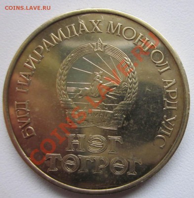 Инострань на оценку. - IMG_2433.JPG