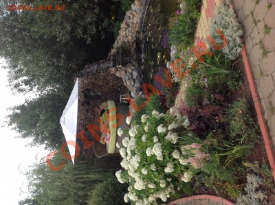 делает - прямо сейчас !!! - image