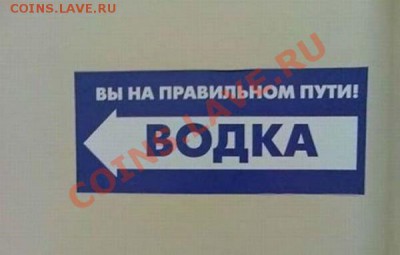 делает - прямо сейчас !!! - 3382455-R3L8T8D-600-550098_900