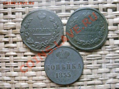 ! Царские копейки, 3 шт. До 24.02.2014г. - 23, 24 и рев 096.JPG