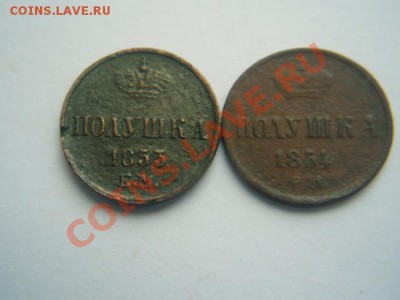 Полушки 1853,54 года. - 201402190002