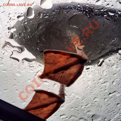 делает - прямо сейчас !!! - ласты