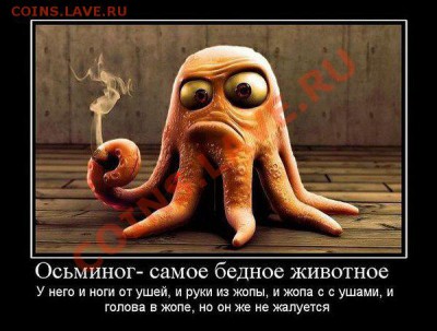 делает - прямо сейчас !!! - getImage