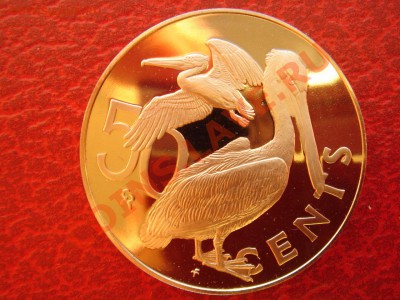 Британские Виргинские Острова 50 центов 1973 PROOF 26.02 22 - Виргинские 50 центов 1973-1.JPG