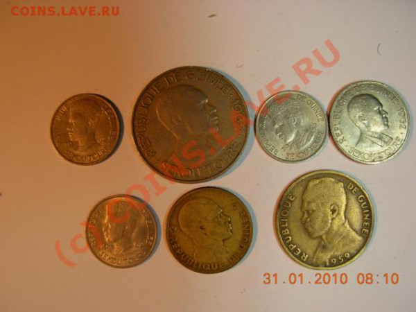 Гвинею оцените - DSCN1375