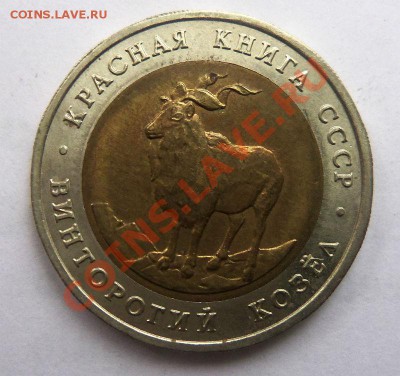 КК Винторогий козел 1991 г. 24-02-2014 в 22-00 мск. - 010 (2).JPG
