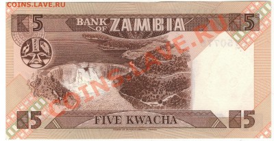 Замбия 5 квача 1980-88 до 24.02.14 в 22.00мск (6802) - 1-зам5