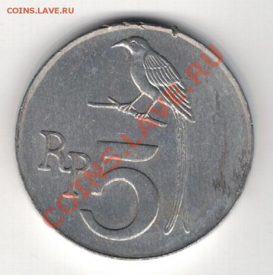 Индонезия 5 рупий 1970 Чёрный дронго 24.02.14 в 22ч (7765) - 4-инд5пт1