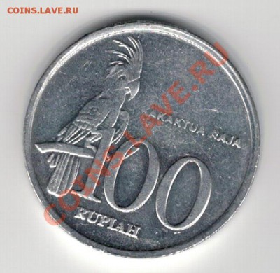 Индонезия 100 рупий 1999 Чёрный какаду 24.02.14 в 22ч (7765) - 4-инд100пт1