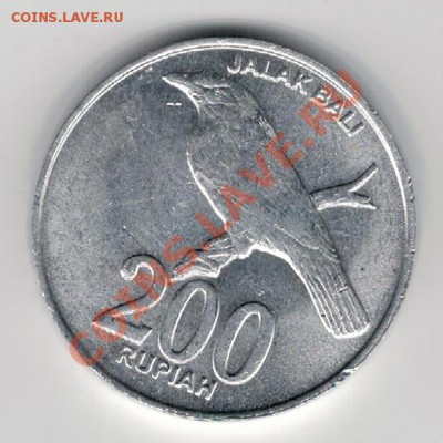 Индонезия 200 рупий 2003 Скворец до 24.02.14 в 22ч (7765) - 4-инд200пт1