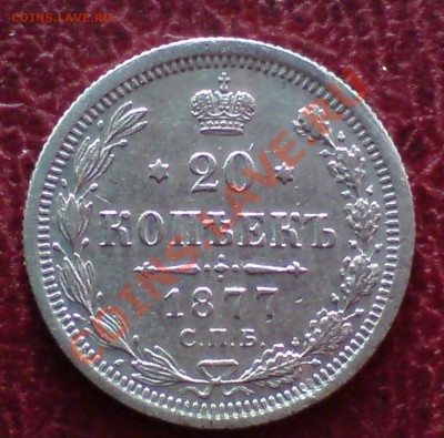 20 копеек 1877 СПБ-НФ, Биткин # 229 (R) - короткий - DSC00005_cr