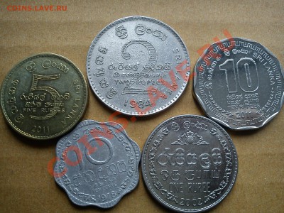 5 монет Шри Ланка. - DSC00730.JPG
