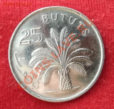 Гамбия.25 Бутут.1998.Пальма. до 02.03 - DSCF1854.JPG