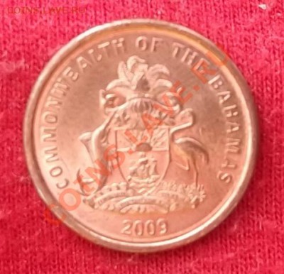 Багамы.Цент.2009.Морские звезды. до 02.03 - DSCF1867.JPG