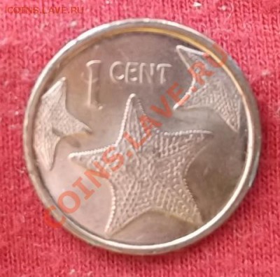 Багамы.Цент.2009.Морские звезды. до 02.03 - DSCF1866.JPG