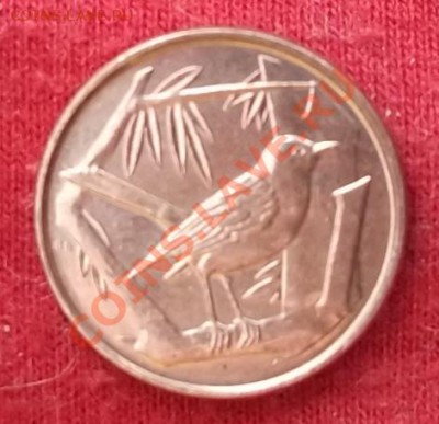 Кайманы.Цент.1992. до 02.03 - DSCF1901.JPG