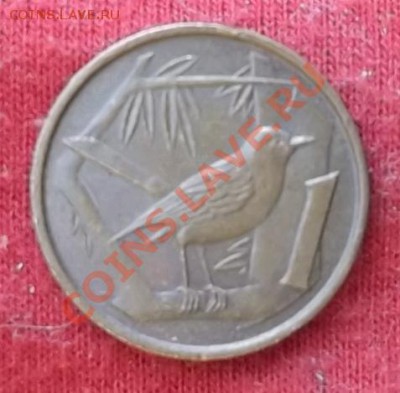 Кайманы.Цент.1982. до 02.03 - DSCF1903.JPG