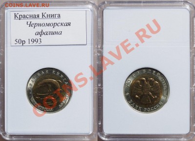 Красная Книга набор 91-94гг. 26.02.2014г. до 22:30 по МСК - 7Gmm9oWfId4