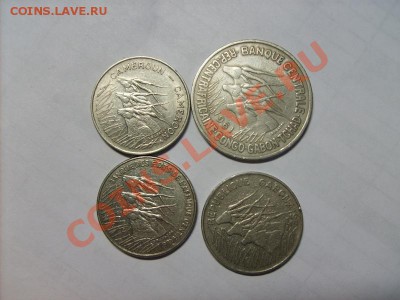 Куплю монеты Африканских стран!!! - S5000452.JPG