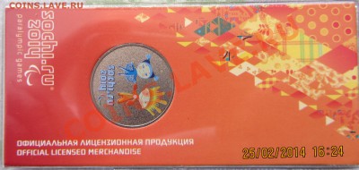 25 рублей - Лучик и Снежинка цветная 2013 до 03.03.14 22:10 - IMG_2298.JPG