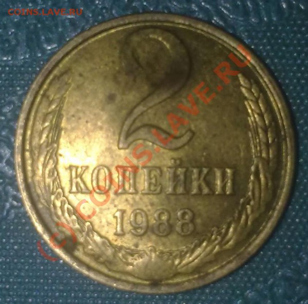 2 коп 88г. - 21022010908-001