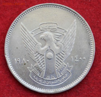 СУДАН 5 гирш 1980г.до 4.03.14г. в 22-00 - IMG_1153.JPG