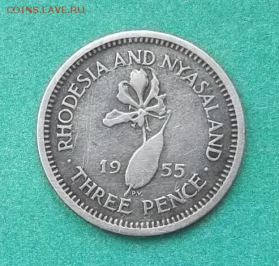 Родезия и Ньясаленд.3 Пенса.1955. до 04.03 - DSCF2065.JPG