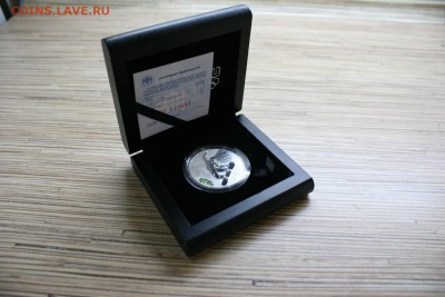 сочи Серебро Сноуборд - IMG_1062.JPG