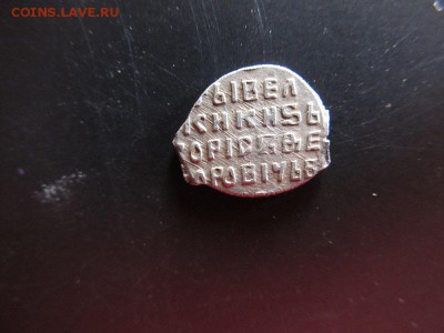 Чешуйки на определение по КГ - IMG_3477.JPG