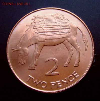 2 - Острова Св. Елены и Вознесения 2 пенса (2006) «Осёл; Елизавета тип. №3» №5 Р