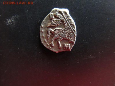 Чешуйки на определение по КГ - IMG_3476.JPG