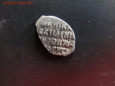 Чешуйки на определение по КГ - IMG_3475.JPG
