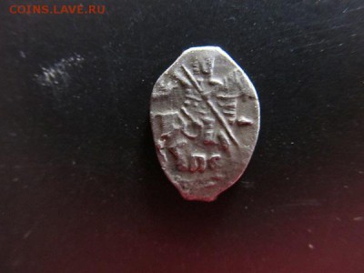 Чешуйки на определение по КГ - IMG_3474.JPG