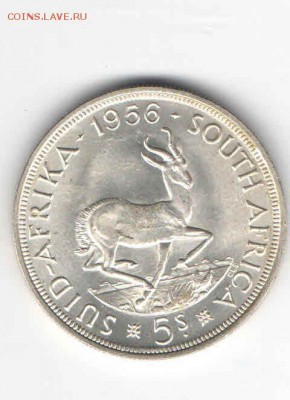 ЮЖНАЯ АФРИКА 5 ШИЛЛИНГОВ 1956 ДО 5.03 - 1118