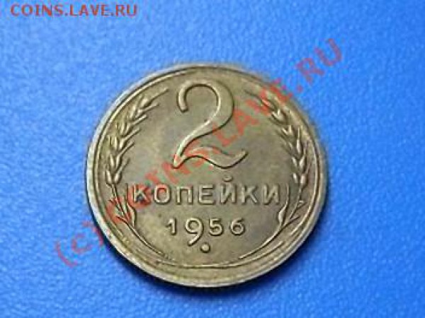 10 - SDC12963.JPG