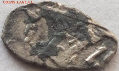 опознать и оценить "чешуйку" - DSCF5301