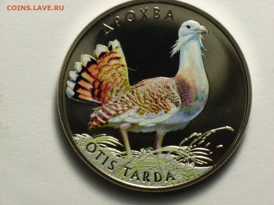 Украина 2 гривны 2013г  ДРОФА    06.03.14.   22.30 - RIMG0014.JPG