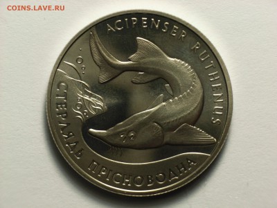 Украина 2 гривны 2012г  СТЕРЛЯДЬ    06.03.14. 22.30 - RIMG0006.JPG