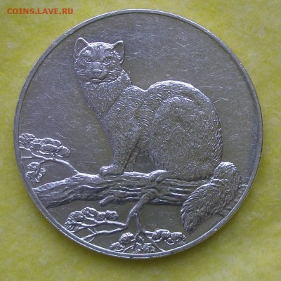 3 рубля 1995 год "Соболь" до 7 марта 22-00 - P3020007.JPG
