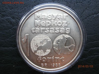 ВЕНГРИЯ 100 форинтов.ФУТБОЛ 1988г.до 05.03 - P3030007.JPG