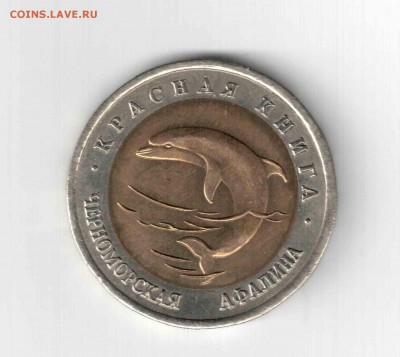 К.К. Черноморская афалина. 93 год. - 136 (2)