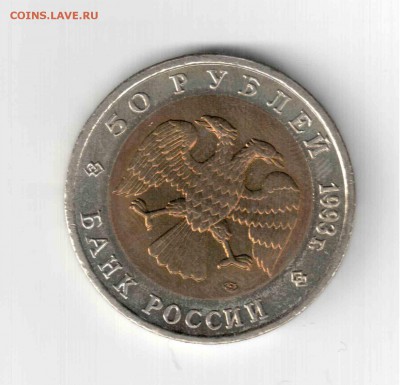 К.К. Дальневосточный аист. 93 год. - 137