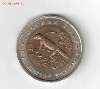 К.К. Туркменский зублефар. 93 год. - 135 (2)