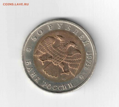 К.К. Туркменский зублефар. 93 год. - 135