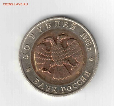 К.К. Гималайский медведь. 93 год. - 134